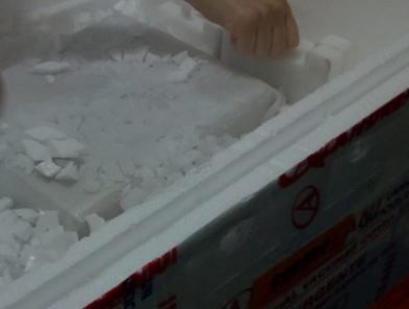 Denuncian 